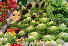 천연 재료로 만드는 건강 샐러드 green and yellow vegetables and fruits