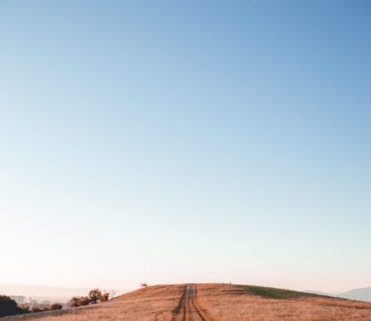 ‘미등록 토지’신규 등록으로 공공재산 확보 empty field