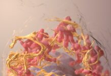 위암 예방을 위한 반찬 조절, 식사의 중요성 blue and red abstract painting