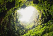 당신은 왜 아침에 눈을 뜨나요? ‘이키가이’를 찾는 여정 people walking on pathway between green mountains during daytime