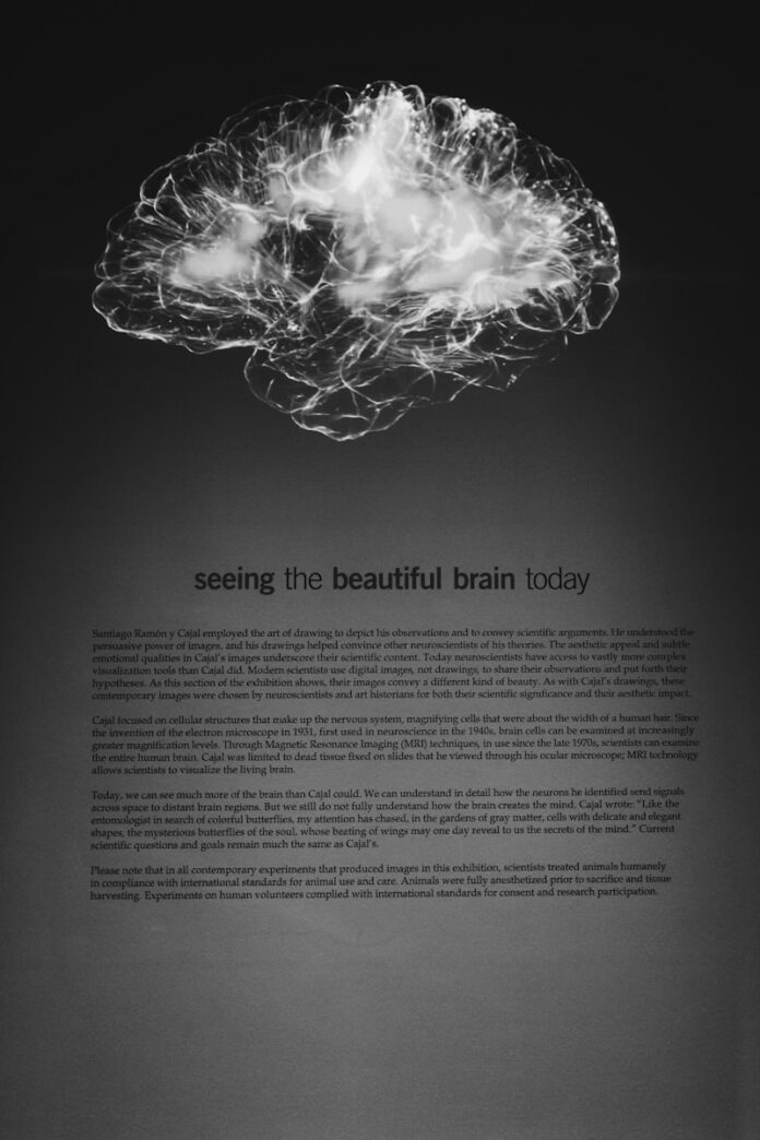 Photo by Alina Grubnyak a black and white photo of a brain