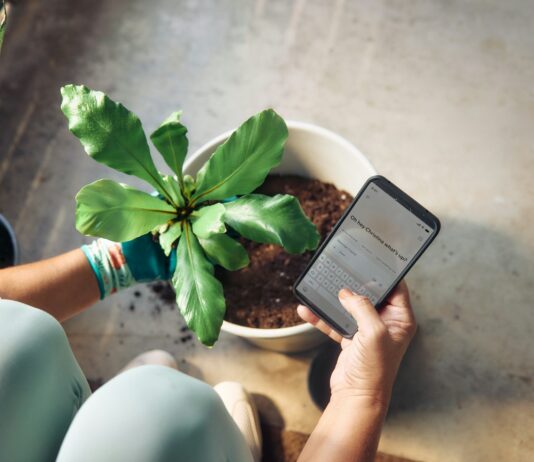 ‘뇌건강’, 생활 속 작은 습관에서 시작하세요 Person planting a houseplant and checking phone