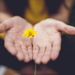 “마음 건강, 하루 10분의 작은 실천부터 시작해요” selective focus photography of woman holding yellow petaled flowers