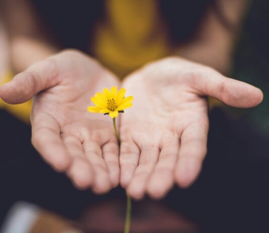 “마음 건강, 하루 10분의 작은 실천부터 시작해요” selective focus photography of woman holding yellow petaled flowers
