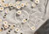 ‘웰니스 문화’ 확산…일상 속 작은 변화가 건강을 만든다 white and blue floral textile
