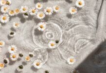 ‘웰니스 문화’ 확산…일상 속 작은 변화가 건강을 만든다 white and blue floral textile